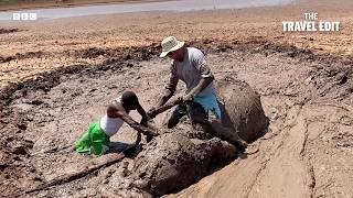 Nature's Most Dangerous Jobs | Everyday Extremes | The Travel Edit