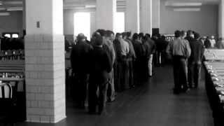 THING OF BEAUTY - FRYARS