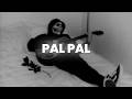 Afusic Pal Pal Slowed Reverb Lyrics Abshomar