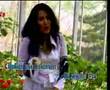 Rita Sugiarto - Zainal