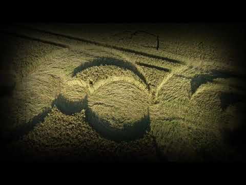Crop Circle Haillicourt 04/07/19