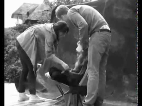 Supermodel Leila Forouhar for Zenggi