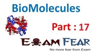 Chemistry Biomolecules part 17 (Fibrous & Globular Proteins) CBSE class 12 XII