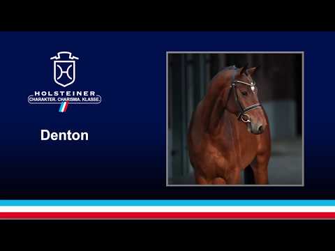 Denton v. Diamant de Semilly - Contendro I | 2018