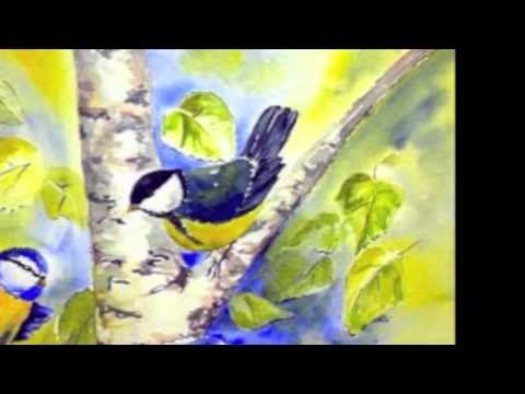 János Rajta - Zacharias "Die Lerche"  Kìsèr : Nàndor Csernus