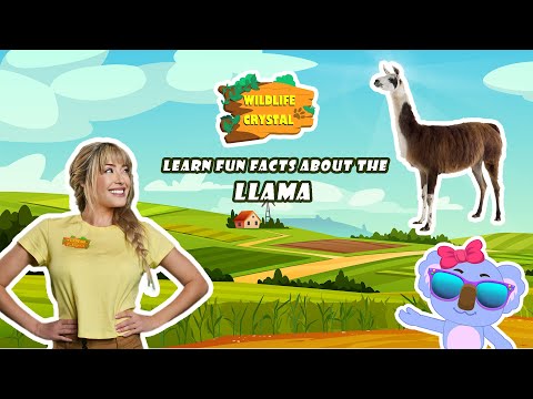 Llama Facts