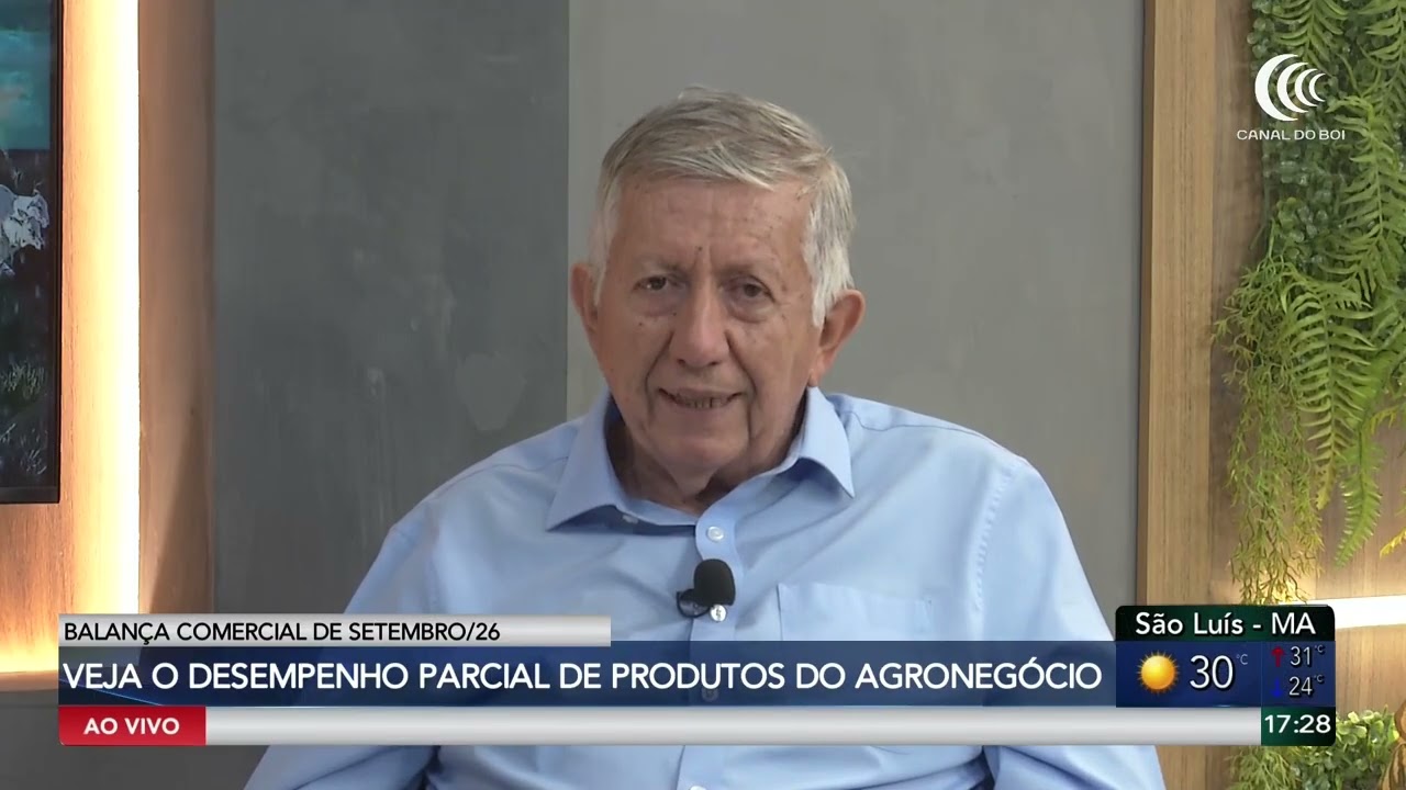 Arroba do boi gordo mantém preços firmes e fecha setembro em alta