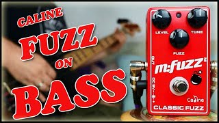 Video thumbnail for Caline CP-504 M-Fuzz (Bass Demo) by Jo Bass