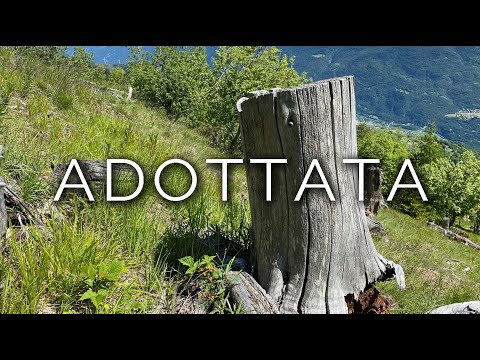 1020-IT Michela, ADOTTATA - Ipnosi Esoterica ∞ Lucio Carsi