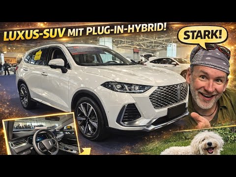 Zusch Vinzenz TV - Reisen & Lifestyle and 2 more