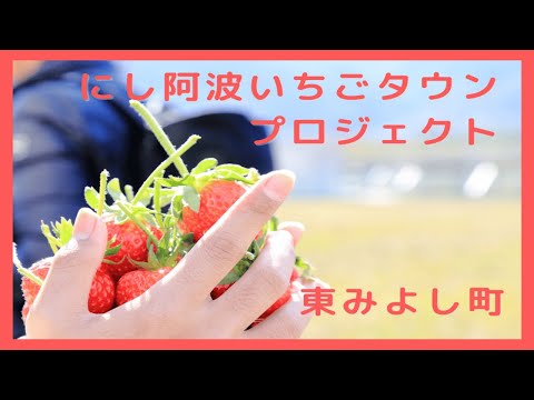 動画サムネイル