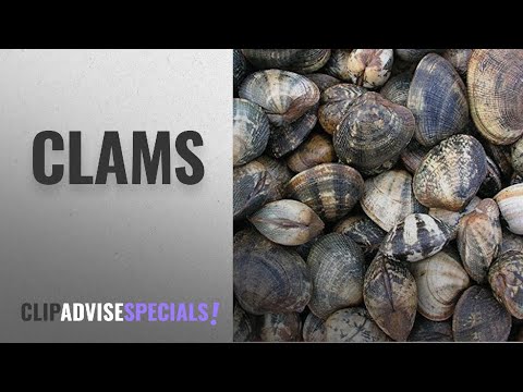Top 10 Clams [2018]: Palourde Clams, Fresh, 1kg