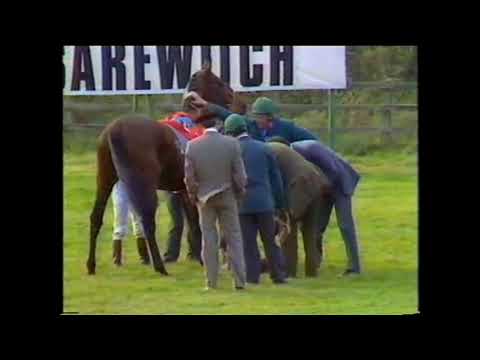 1986 Cesarewitch Handicap Newmarket