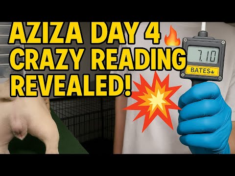 Día 4: ¡La lectura del detector de ovulación de Aziza sorprende a todos! 😱🔥 @DiamondGangBullies