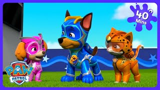 PAW Patrol - Perigo na Floresta! 🦁 | Desenhos Infantis | WildBrain Crianças