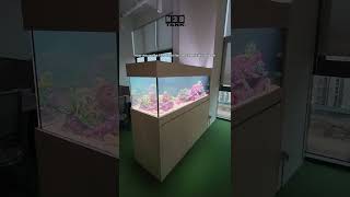 6ft Marine Tank Setup - Aquascaping Water Treatment (N30 Tank)