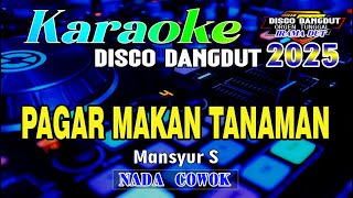 Download lagu Pagar Makan Tanaman -  Karaoke [Nada Cowok] Mansyur S || Disco Dangdut Terbaru mp3