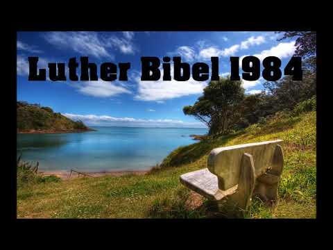 Die Apostelgeschichte - Bibel Hörbuch