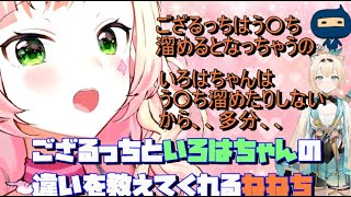 ござるっちといろはちゃんの違いを説明してくれるねねち【ホロライブ切り抜き/桃鈴ねね/風真いろは/たまごっち/ござるっち】