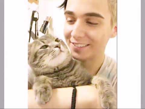 Mélovin & cat