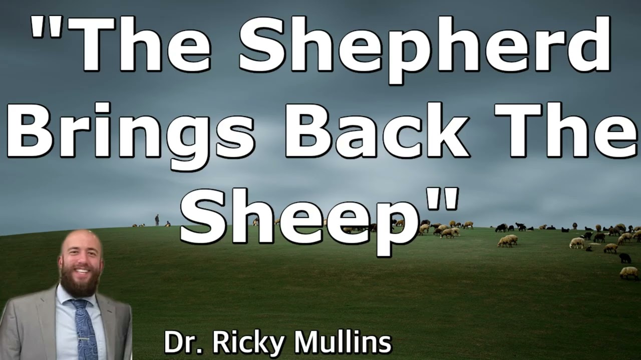The Shepherd Brings Back The Sheep