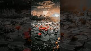 Download lagu Selama Bumi ini Masih berpenghuni Disitu PSHT JAYA SELAMANYA mp3