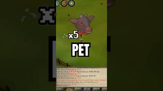What's Better Than One Beef Pet at Brutus? #osrs #gaming #runescape
