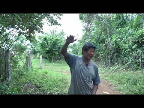 El rezo para la protección del entorno habitacional