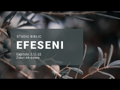 Studiu Efeseni | 04 Ziduri dărâmate | Bogdan Codrea