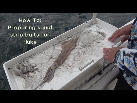 Preparing large squid 🦑  strip baits for fluke fishing