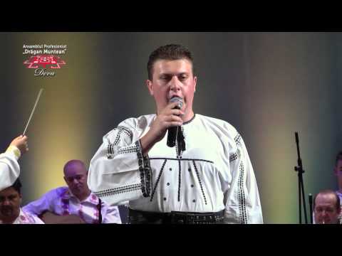 Ovidiu Homorodean  - Ne-au călcat străinii