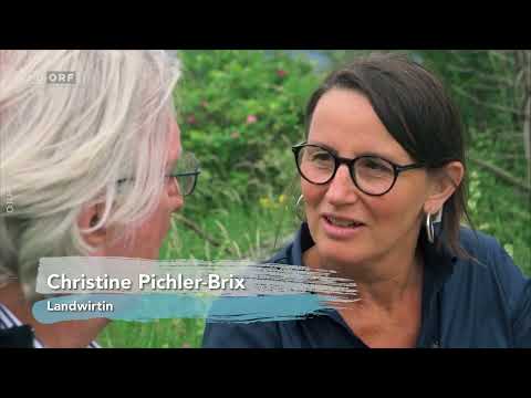 Unser Österreich: Österreich der Künstler - Gerhard Haderer Doku (2019)