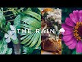 RAIN CINEMATIC VIDEO MONSOON COMING NATURE ODISHA INDIA CINEMATIC ️ GoRohan GoOdisha