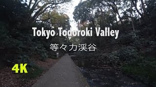 JAPAN DAY TIME VIEW ＃6 TODOROKI VALLEY 4K 等々力渓谷 癒しの景色