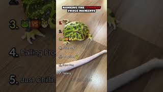 Classement des moments les plus drôles des grenouilles partie 2