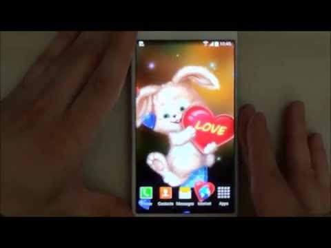 Cute Bunny Live Wallpaper Video