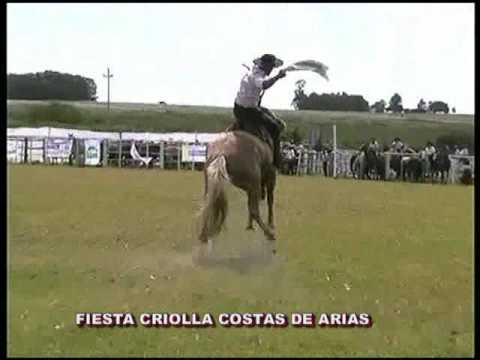 RUEDO COSTAS DE ARIAS