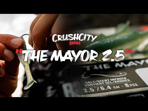 Shad Rapala CrushCity The Mayor 6.3cm SD