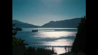 Domenico Modugno - Notte di luna calante (1968)