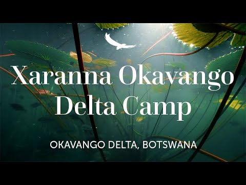 andBeyond Xaranna Okavango Delta Camp