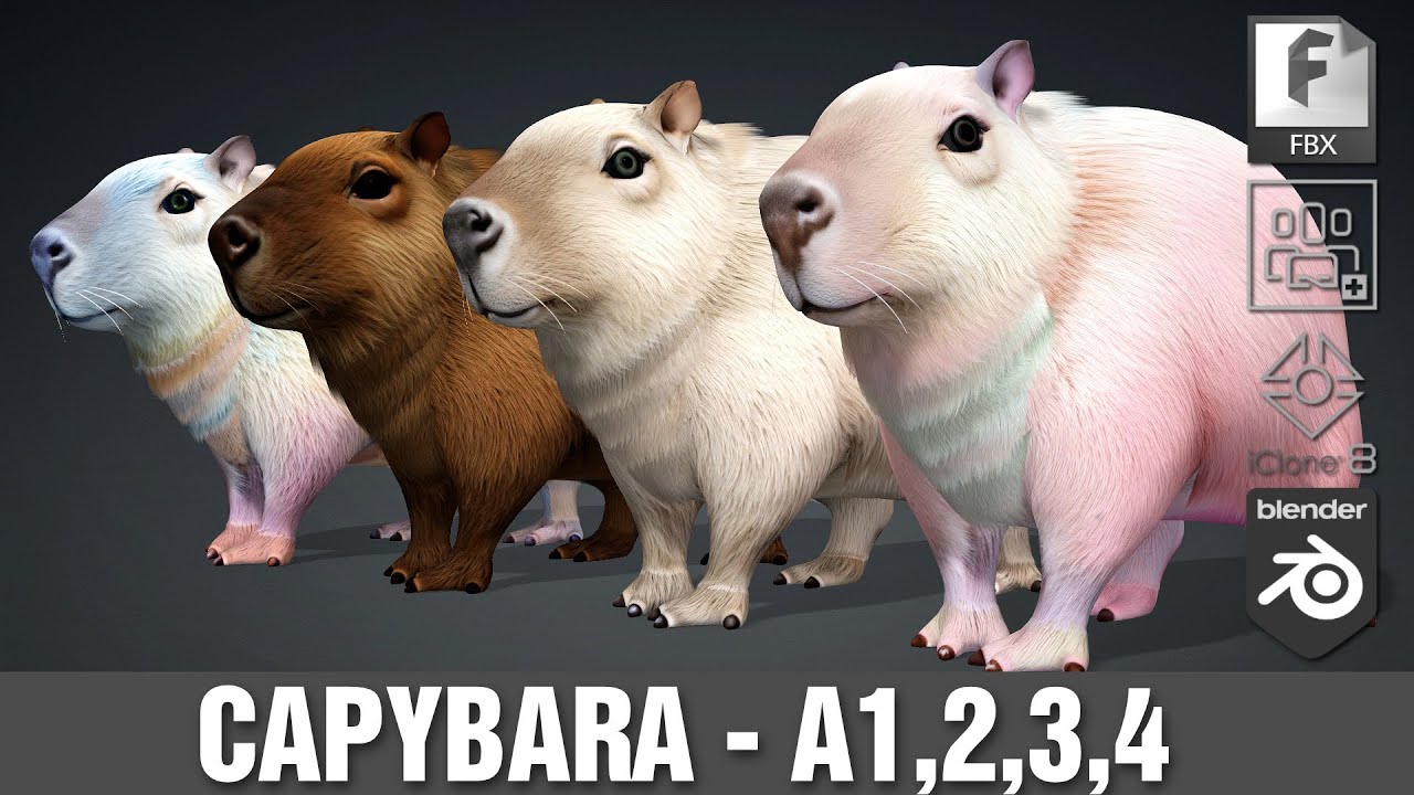 카피바라-A3 3D 모델