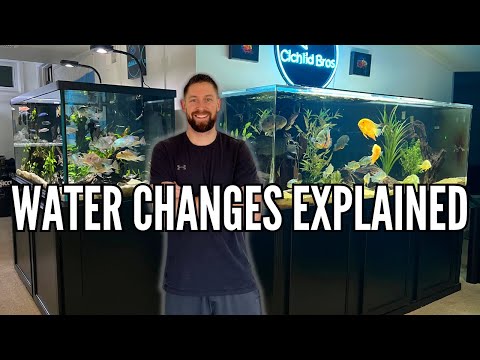 How (and Why) I Do Water Changes on All of My Aquariums