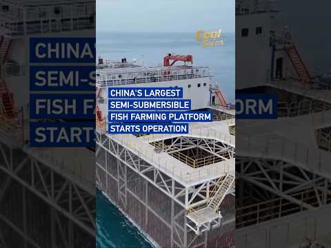 China's largest semi-submersible fish farming platform starts operation