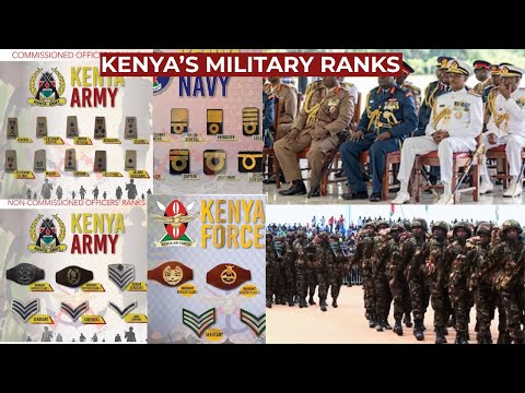The Iron Skeleton: Every Rank in Kenya’s Military Explained