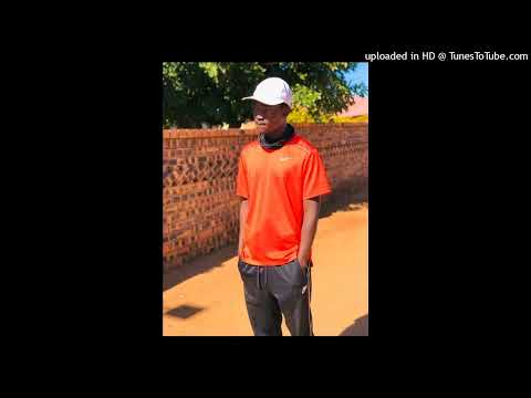 Tribby WaDi BhoZza & Shebeshxt-Are Zole (Official audio)