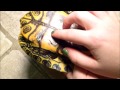 How to Tell if your Turtle's Shell is Healthy, Spot ...