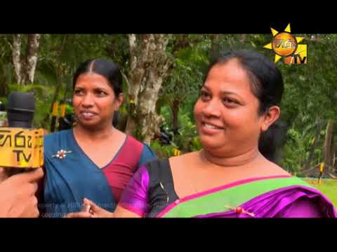 Hiru TV