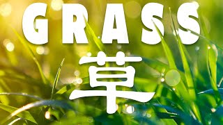 The Poem Every Chinese Student Knows (And You Should Too)