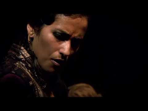 Casa Patas  Flamenco En Vivo, 182 Trailer