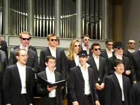 EuroChoir Concert in Szekszárd 16. 08. 2013. (Smooth criminal)